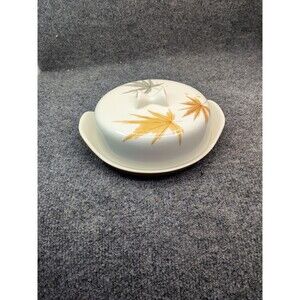 Vitage Butter Dish w/Lid Harvest Time Pattern by Ben Seibel for Iroquois China